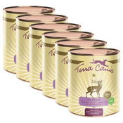 Terra Canis ?Game with pumpkin, amaranth & cranberry 6 x 800 g