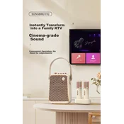 Divoom Bluetooth karaoke zvucnik sa 2 mikrofona, 50 W, Beli