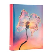 Foto album Silky 1, 200 slik