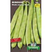 FIŽOL Nizki stročji MINOSSE - ZAŠČITENA SORTA - 500g