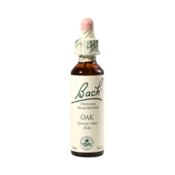 Bach Oak, kapljice št. 22 - hrast, 20 ml