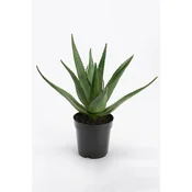 Umetna rastlina v loncu home & lifestyle 38 cm