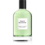 David Beckham Aromatic Greens parfumska voda 100 ml za moške