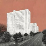 Carpet - About Rooms And Elephants (LP)