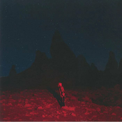 Phoebe Bridgers - Punisher