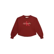 Calvin Klein Jeans Majica kremna/rjasto rjava/češnjevo rdeča