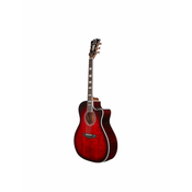 DAngelico Premier Gramercy Trans Black Cherry burst