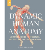 Dynamic Human Anatomy