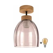 BRILAGI - LED pritrjena stropna svetilka R GLASS 1xE27/60W/230V premer 17 cm hrast/dimno bež