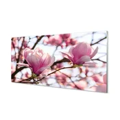 tulup.si Slika na akrilnem steklu Magnolija drevo 125x50 cm 4 obešalnika