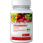 Raab Vitalfood GmbH Cranberry Forte Bio - 90 kaps.