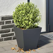 Vidaxl vidaXL Vrtni sadilniki, 2 kosa, antracit, 30x30x30 cm, jeklo