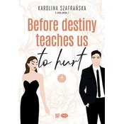 Before destiny teaches us to hurt T.1 cz.2