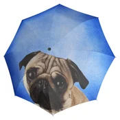Doppler Modern Art Magic Lazy Dog