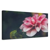shumee Platno Botanica Pink Dahlia 120x60 cm