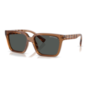 Armani Exchange Naocare za sunce AX 4147S 835887