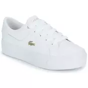 Lacoste ZIANE Bela
