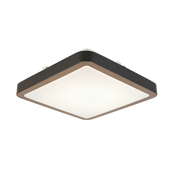 Novel STROPNA LED-SVETILKA 37/37/8 cm