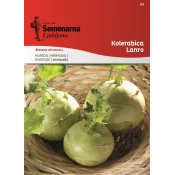 Seme kolerabica Lanro