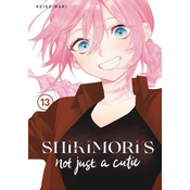 Shikimori's Not Just a Cutie 13