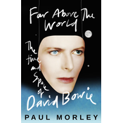 Far Above The World