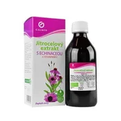 Echinacea in sirup Vit.C 325g Galmed