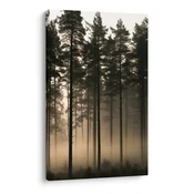 Slika tih gozd v jutranji megli - 80x120