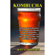 WEBHIDDENBRAND Kombucha: How to make Kombucha, 50+ Fermented Kombucha drinks with benefits, Naturally Fermented Tea that Energize, Cleanse and
