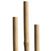 Windhager oporna palica iz bambusa, 180cm