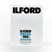 Ilford Delta 100 (8x10/25)