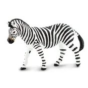 Safari Stepska zebra