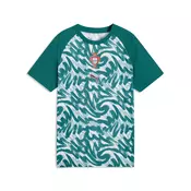 PUMA Portugal Warmup Jersey Youth, Football, Green Lagoon/Ruby Shimmer, 5-6Y