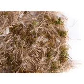 Sisal Fibre Material za gnezdo - JUTA, BOMBAŽ, MAH