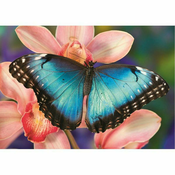 Puzzle ButterflyPuzzle Butterfly