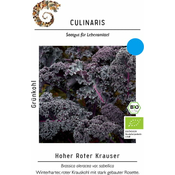 Culinaris Bio ohrovt High Red Krauser