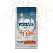 Forza10 adult konj z grahom - 12 kg - Odrasel (1-7 let) - Konj - Forca10 - Normalno aktivni - Srednja - Brez glutena