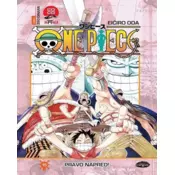 Manga Strip One Piece 15
