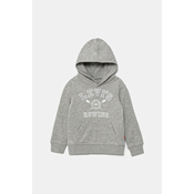 Djecja dukserica Levis VARSITY ROWING HOODIE boja: siva, s kapuljacom, s tiskom, 8EM573