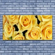 tulup.si Steklena slika Roses flowers rastlin 140x70 cm 4 obešalnika