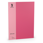 Grupo FOLI A4 BARVNI 10 ENOT FUCHSIA, (20862592)
