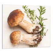 shumee STEKLENA PLOŠČA ZA KUHINJO 65x60 Gobe