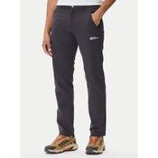 JACK WOLFSKIN Outdoor hlače Pico Trail  temno siva / off-bela