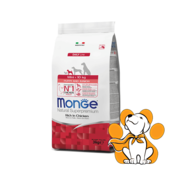 Monge Mini