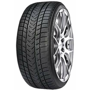 GRIPMAX zimska pnevmatika 245/35R21 96V PRO WINTER