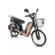Elektricni bicikl 22 GLX-A-2 (D/S)