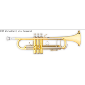B&S BB trobenta 3137 L