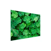 shumee Steklena zaščitna plošča za štedilnik 70x52 Leaf