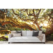 Wallity Tapete za zid MDK-00116, 400x270 cm, Šarena