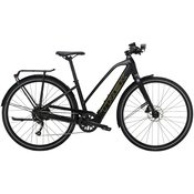 TREK FX+ 2 STAGGER 250Wh - 17,8kg