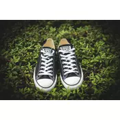 CONVERSE CHUCK TAYLOR 3J235